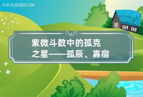 寡宿|紫微斗数诸星落命宫之：孤辰、寡宿详解【命理八字实战】